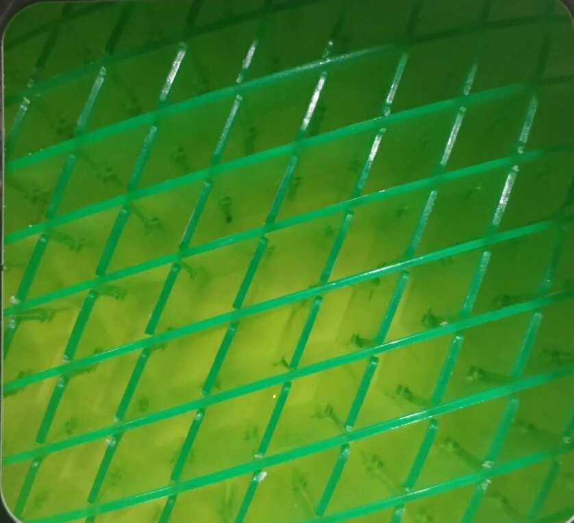 TikTok Craze Space Worm Morph Fidgets