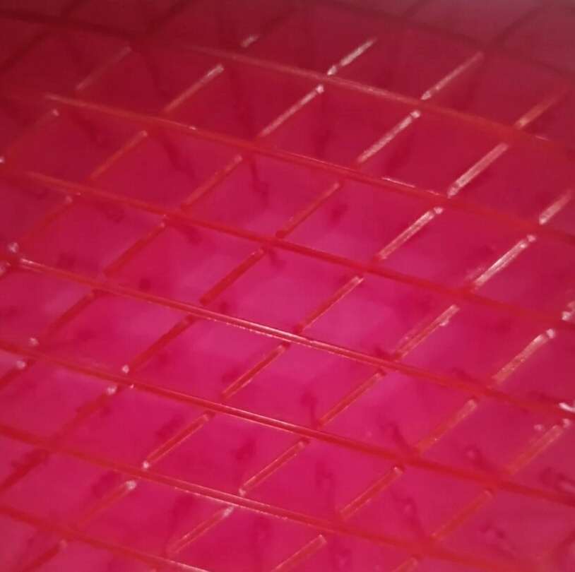 TikTok Craze Space Worm Morph Fidgets