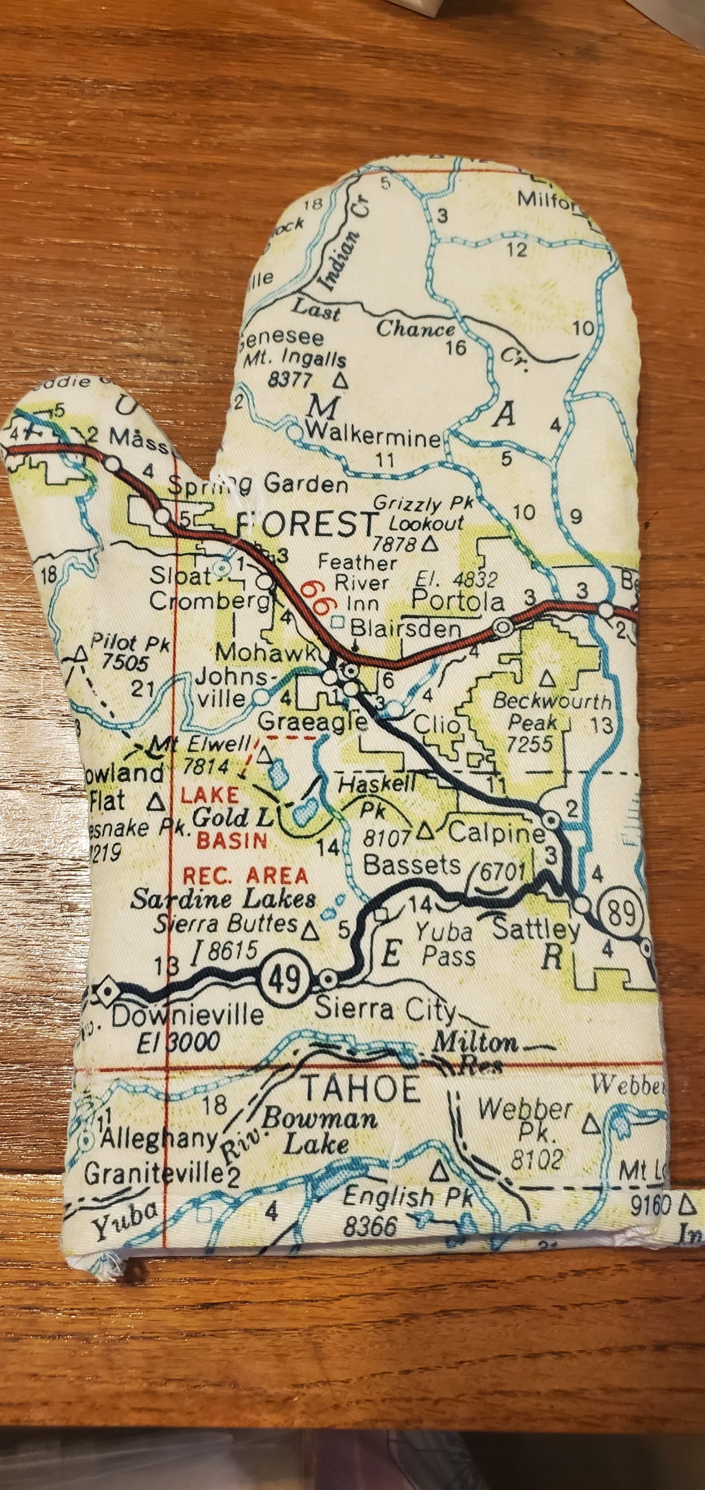 Map Oven Mitt - California