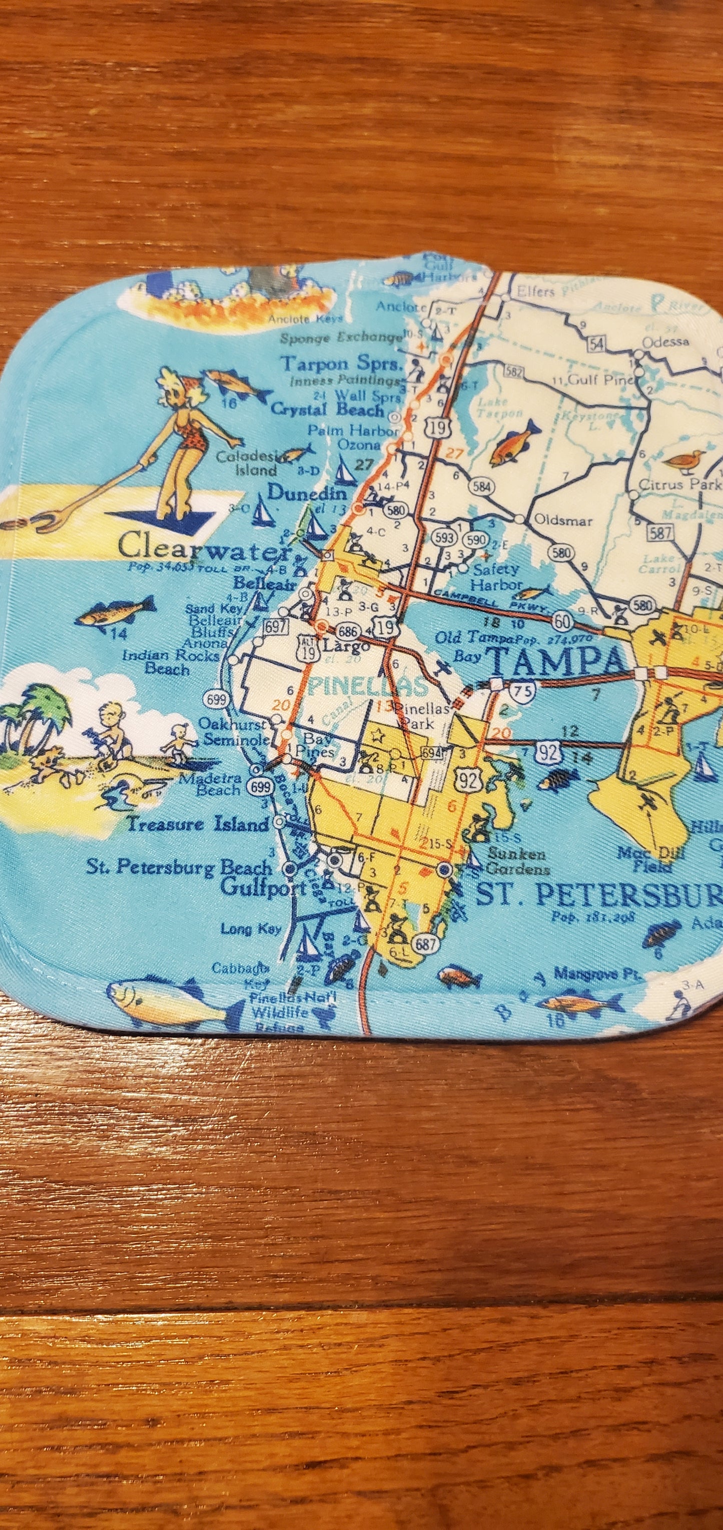 Maps Hot Pads - Florida