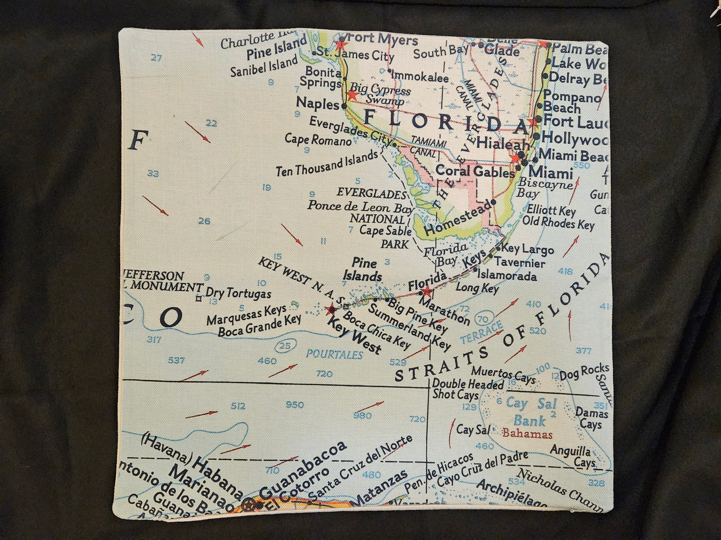 Vintage Map -Pillow Cover FLorida
