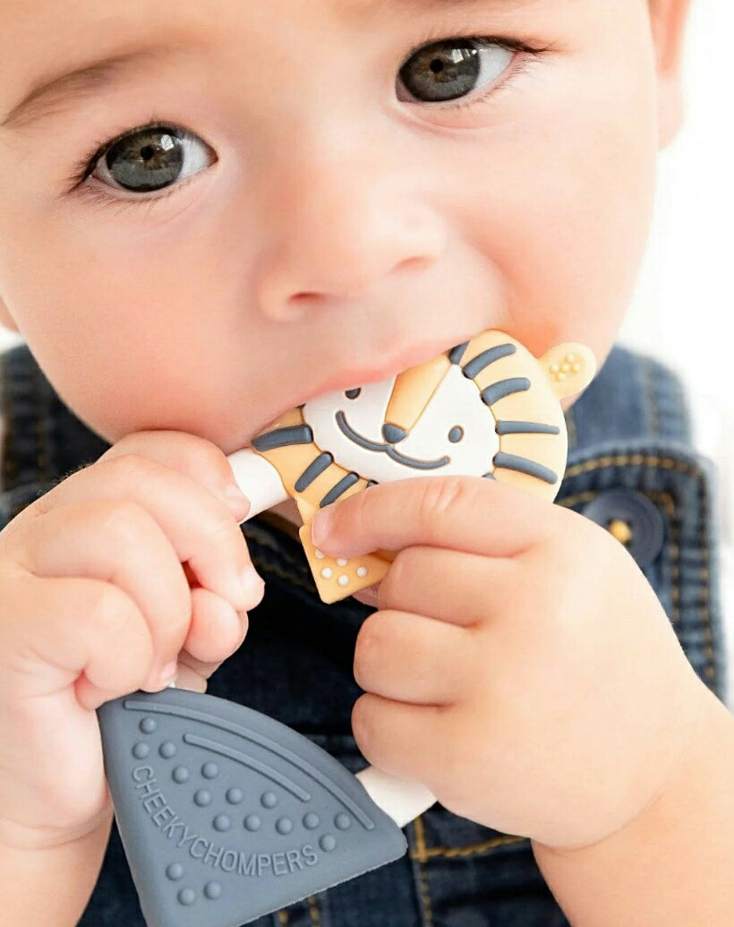 Textured Teether - Lion