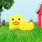 Spongelle- Danny Duck