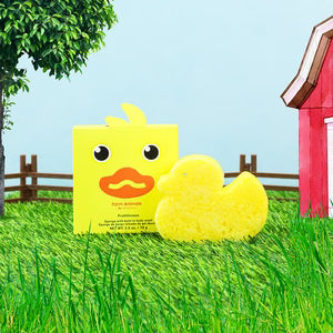 Spongelle- Danny Duck