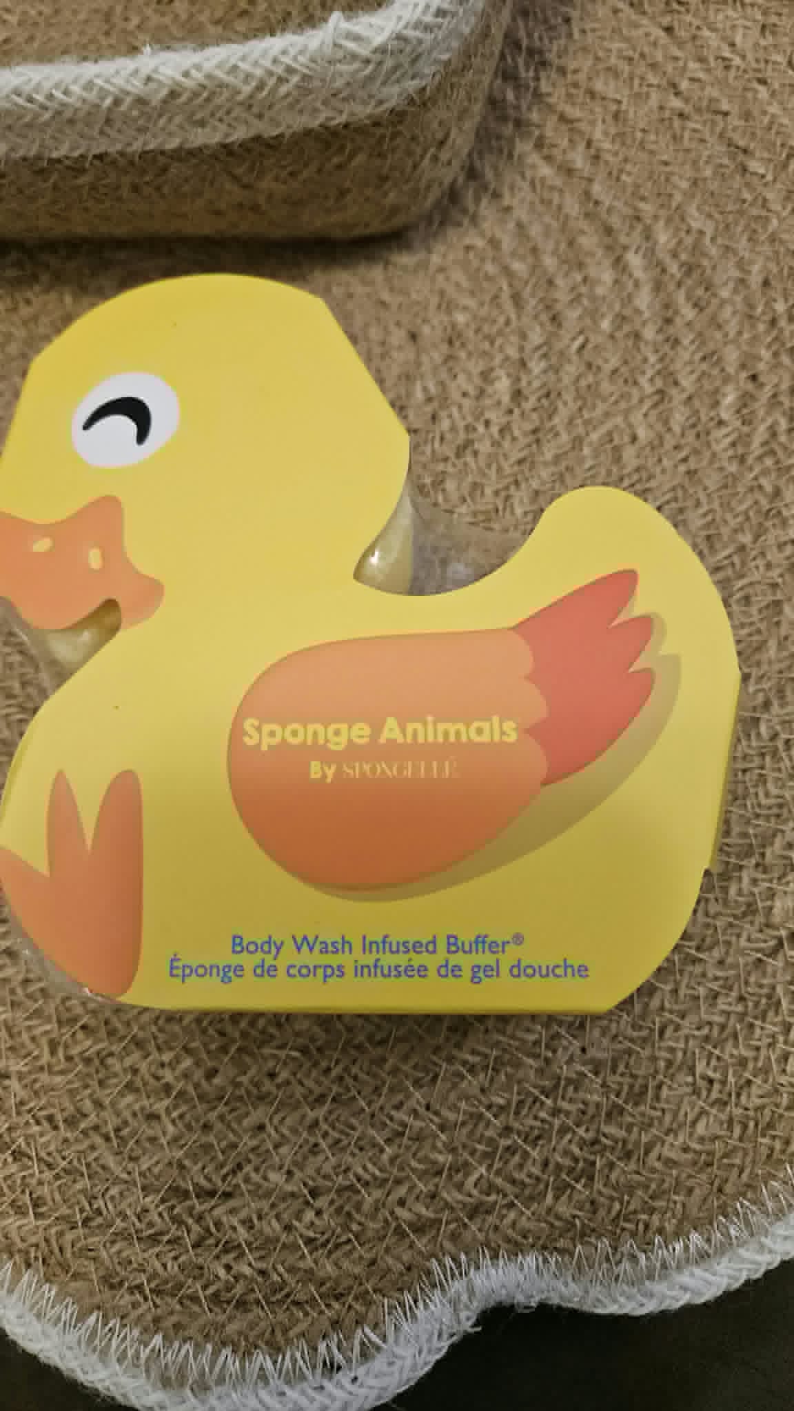 Spongelle- Danny Duck