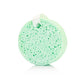 Spongelle -Pistachio Scent