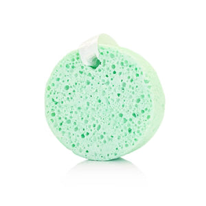 Spongelle -Pistachio Scent