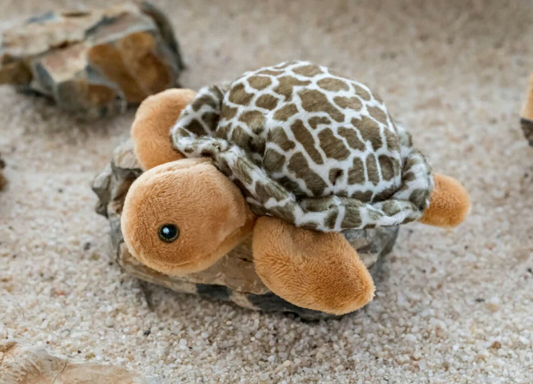 Mini Sea Turtle stuffed Animal